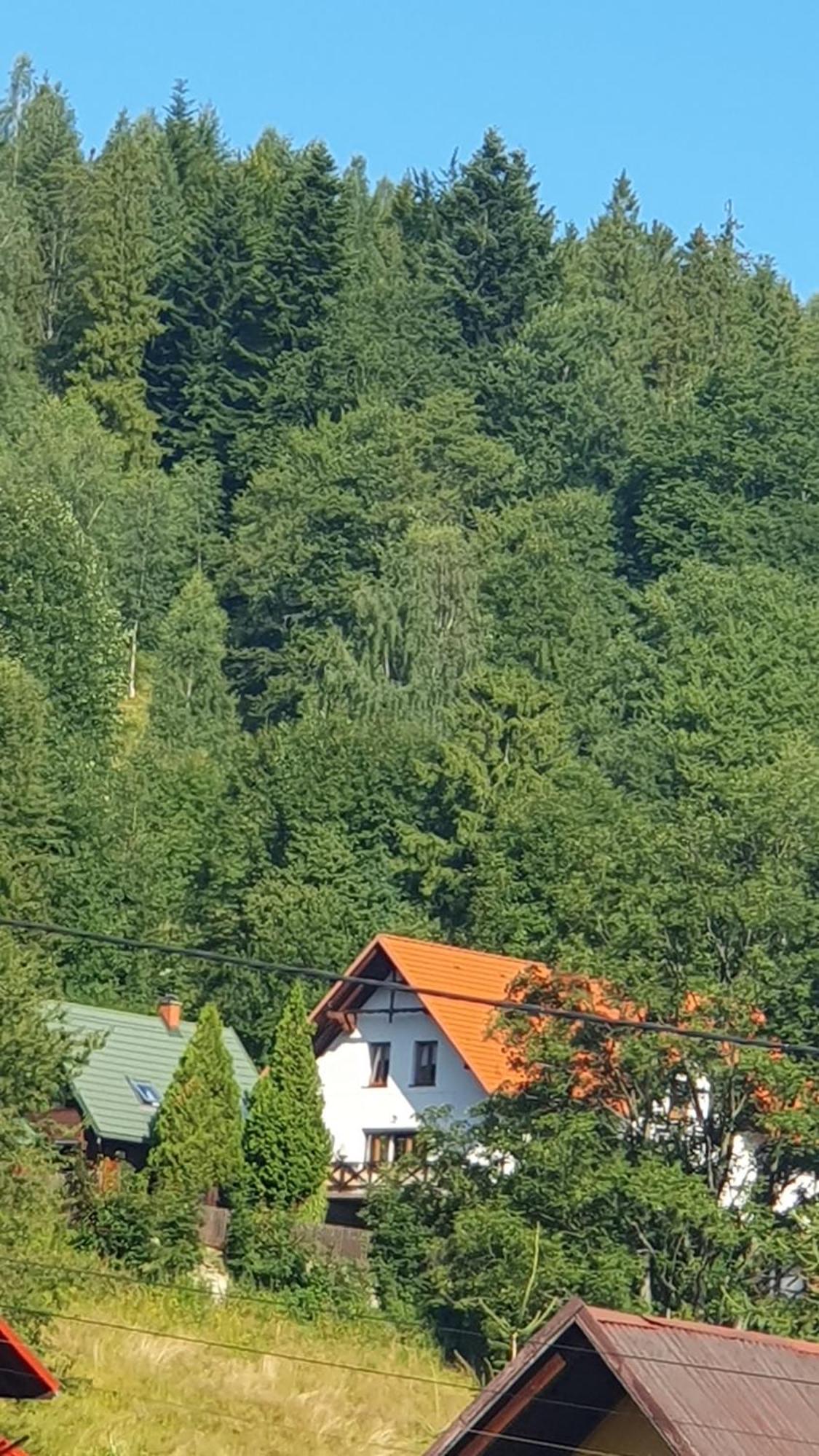 U Eli Otel Korbielów Dış mekan fotoğraf